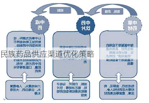 民族药品供应渠道优化策略