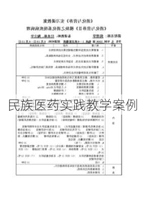 民族医药实践教学案例