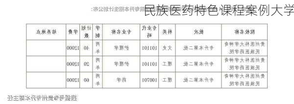 民族医药特色课程案例大学