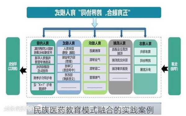 民族医药教育模式融合的实践案例