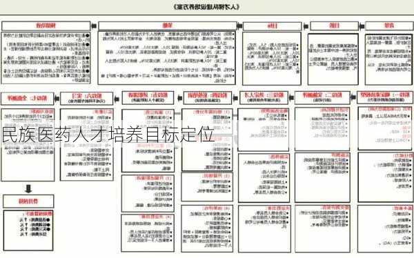 民族医药人才培养目标定位