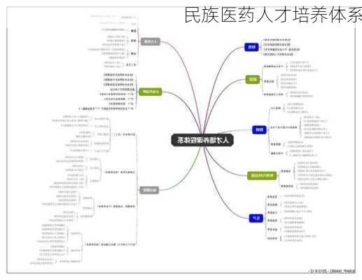 民族医药人才培养体系