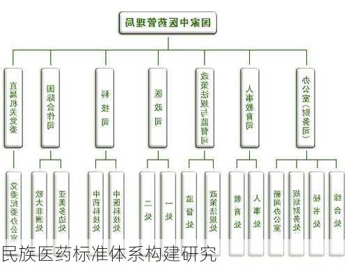 民族医药标准体系构建研究