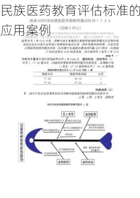 民族医药教育评估标准的应用案例