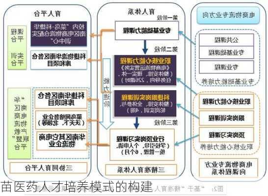 苗医药人才培养模式的构建