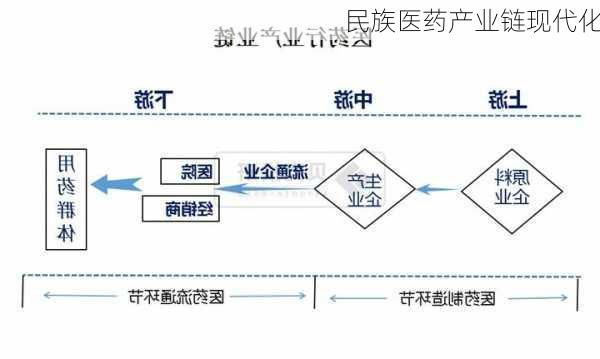 民族医药产业链现代化