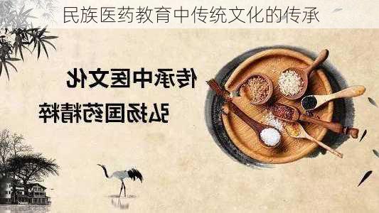 民族医药教育中传统文化的传承