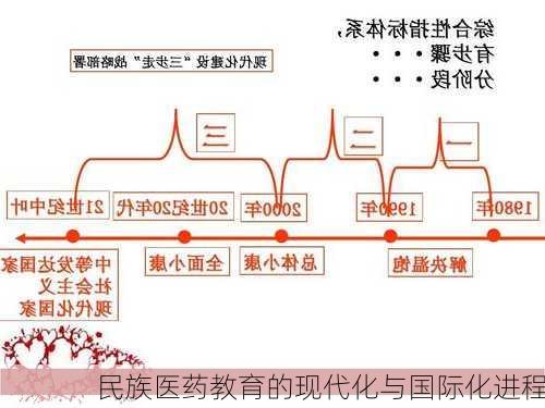 民族医药教育的现代化与国际化进程