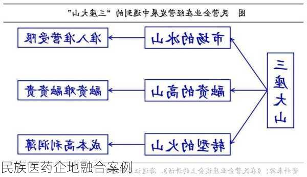 民族医药企地融合案例