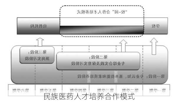 民族医药人才培养合作模式