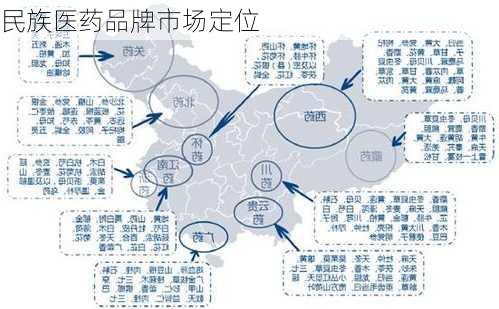 民族医药品牌市场定位