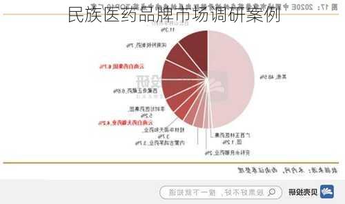 民族医药品牌市场调研案例