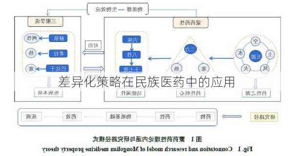 差异化策略在民族医药中的应用