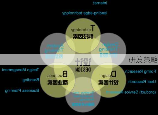 研发策略