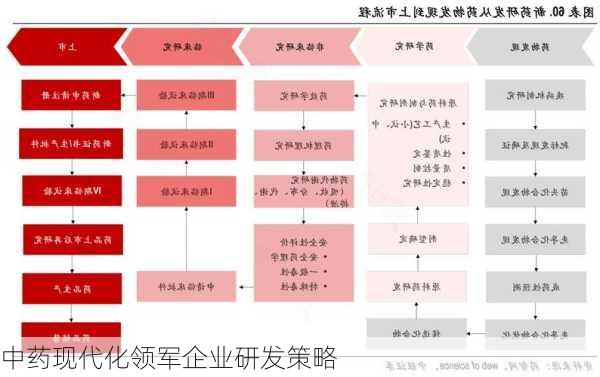 中药现代化领军企业研发策略