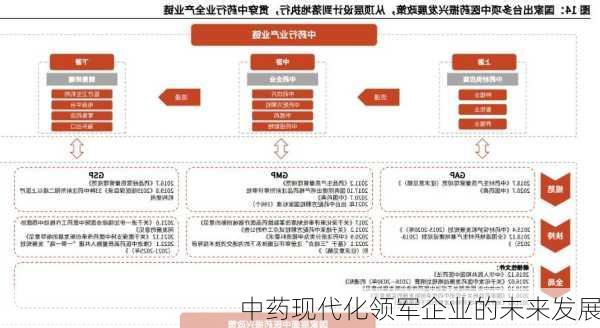 中药现代化领军企业的未来发展