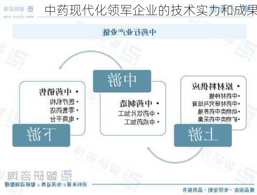 中药现代化领军企业的技术实力和成果