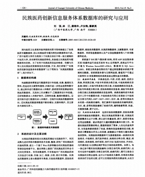 民族医药技术创新案例