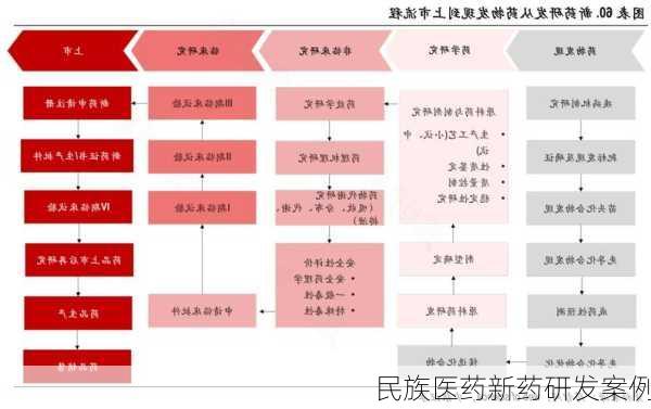 民族医药新药研发案例