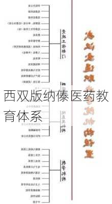 西双版纳傣医药教育体系