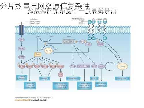 分片数量与网络通信复杂性