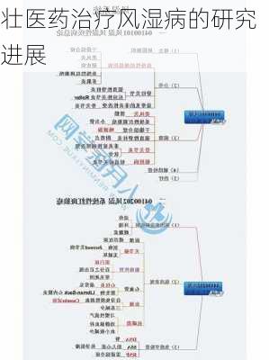 壮医药治疗风湿病的研究进展