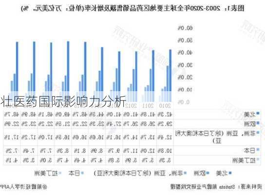 壮医药国际影响力分析