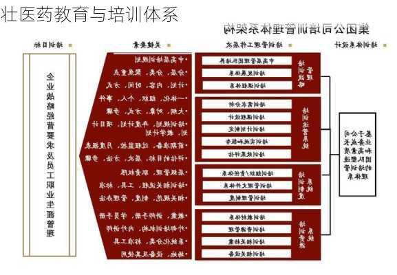 壮医药教育与培训体系