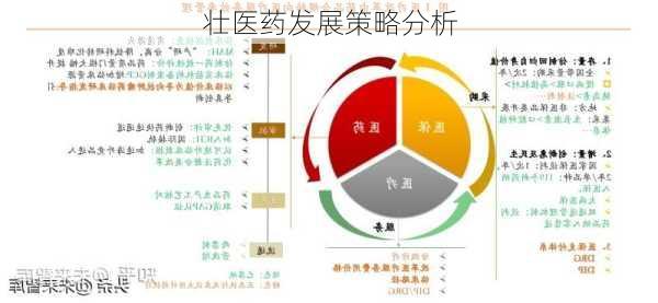 壮医药发展策略分析