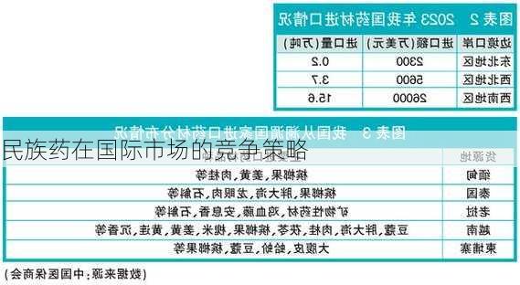 民族药在国际市场的竞争策略