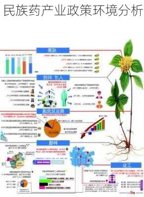 民族药产业政策环境分析