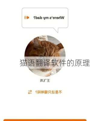 猫语翻译软件的原理