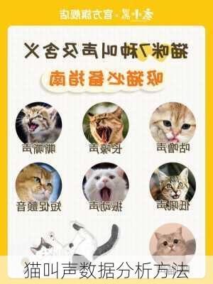 猫叫声数据分析方法