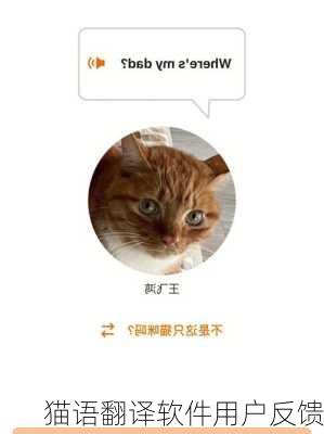 猫语翻译软件用户反馈