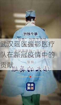 武汉瑶医援鄂医疗队在新冠疫情中的贡献