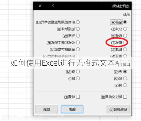 如何使用Excel进行无格式文本粘贴