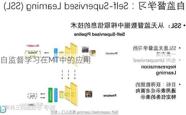 自监督学习在MT中的应用