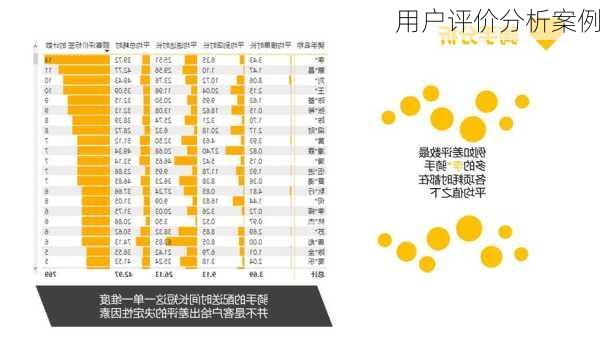 用户评价分析案例