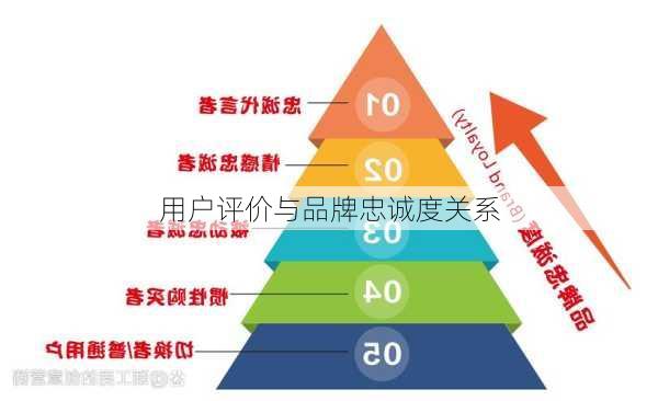 用户评价与品牌忠诚度关系