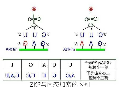 ZKP与同态加密的区别