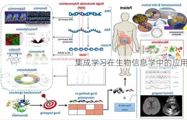 集成学习在生物信息学中的应用