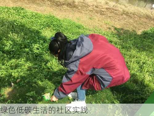 绿色低碳生活的社区实践