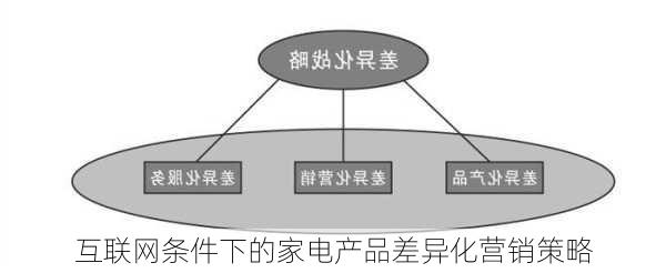 互联网条件下的家电产品差异化营销策略