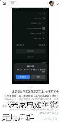 小米家电如何锁定用户群