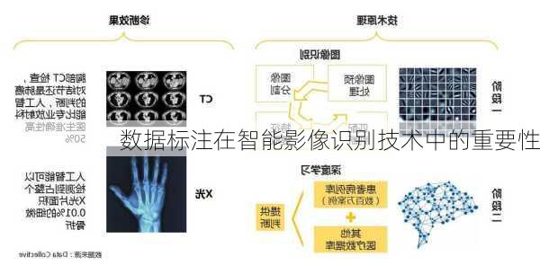 数据标注在智能影像识别技术中的重要性