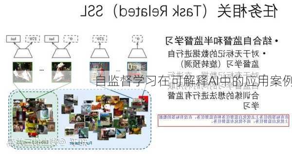 自监督学习在可解释AI中的应用案例