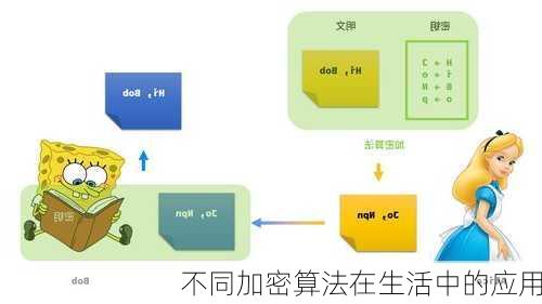 不同加密算法在生活中的应用