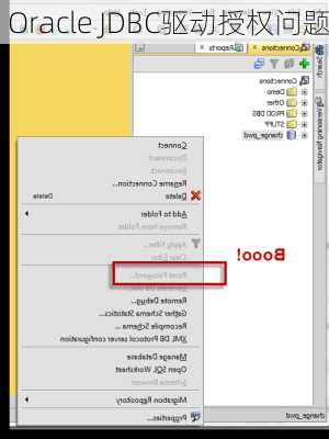 Oracle JDBC驱动授权问题