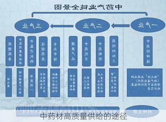 中药材高质量供给的途径