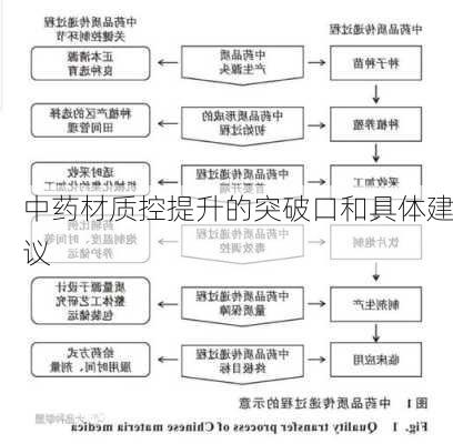 中药材质控提升的突破口和具体建议